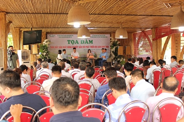 toadam-bninh1