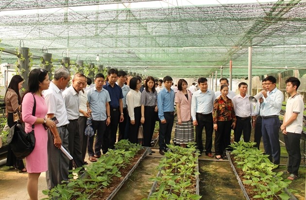 toadam-bninh2_1