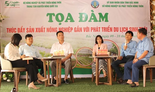 toadam-bninh3